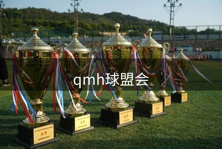 公司主张