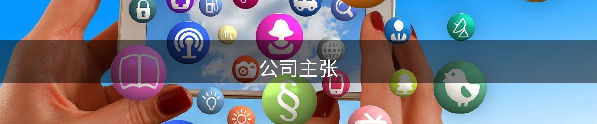 公司主张